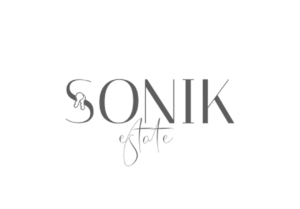 sonic logo 2