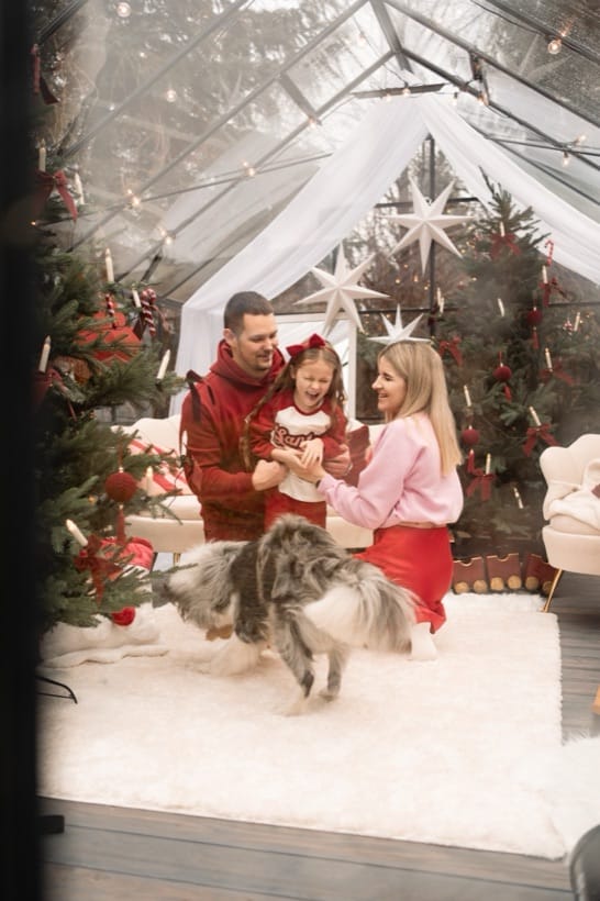Family with a dog at a Christmas session in a greenhouse
